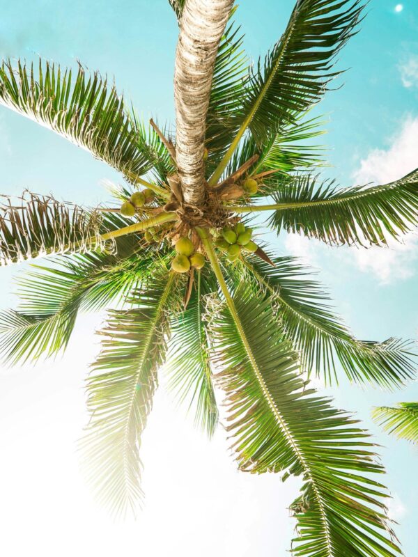 gerson-repreza-7WRGicVEABk-unsplash gerson-repreza-7WRGicVEABk-unsplash